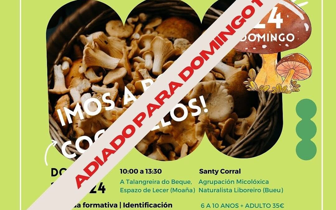 II Edición: Saída Micolóxica na Fraga do Beque