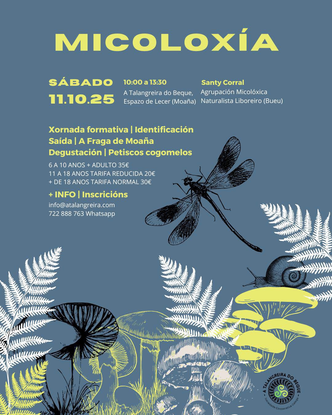 micoloxia na talangreira